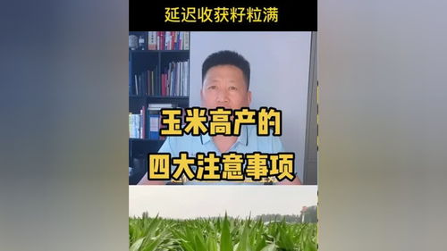 玉米高产有诀窍，四大关键问题须记牢——农业技术与科学种地指南
